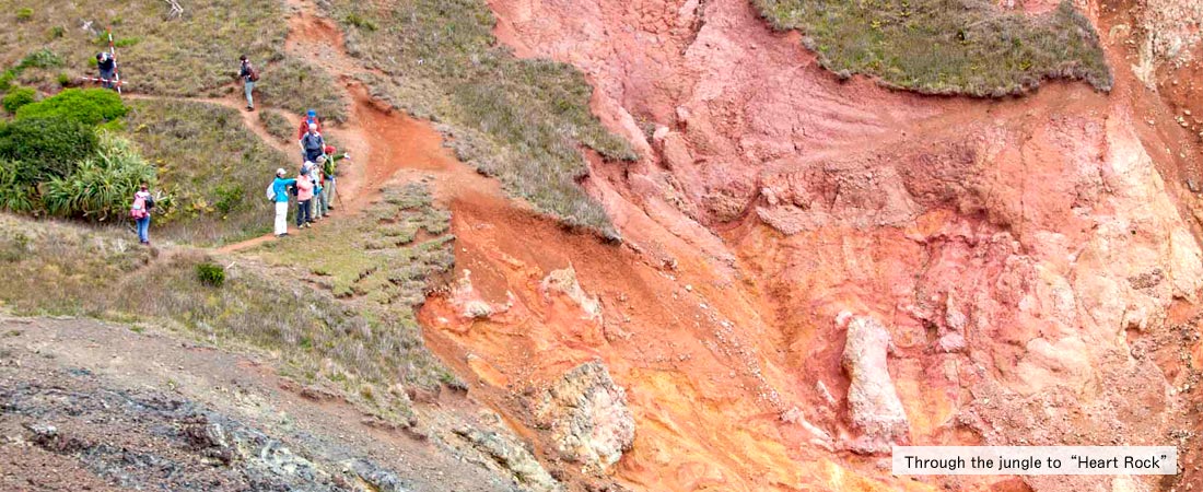 Through the jungle to Chihiroiwa, or 'Heart Rock'. It is located in the Special Protection Zone of Chichijima, where you can enter only with certified guides. Shanti Bovie's official guide will safely show you the way.
