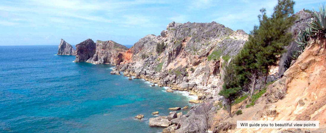 There are numerous view points on Chichijima, ask us for any particular requests for places to visit. Private tours can be arrangeable, depending on availabilities. Let us help you to make your time special in Ogasawara.