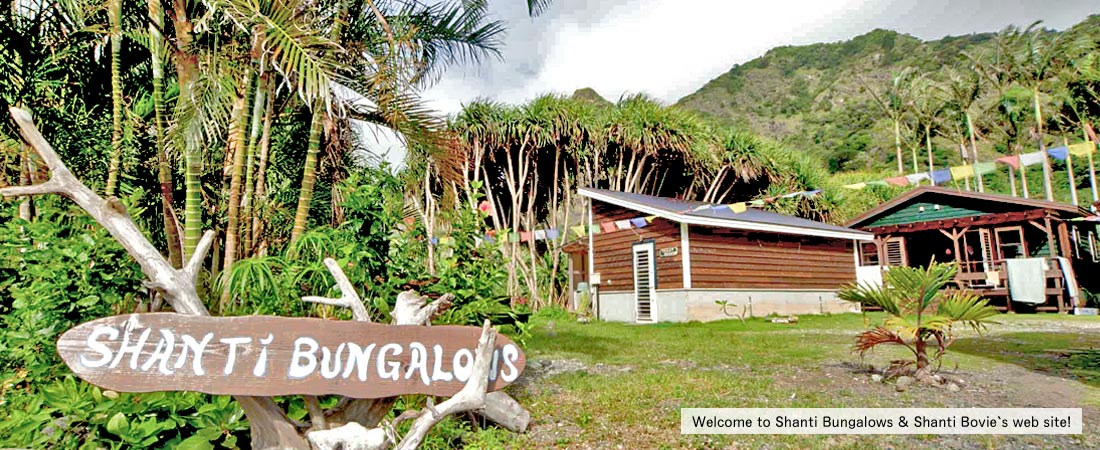Welcome to Shanti Bungalows & Shanti Bovie's Chichijima Ogasawara