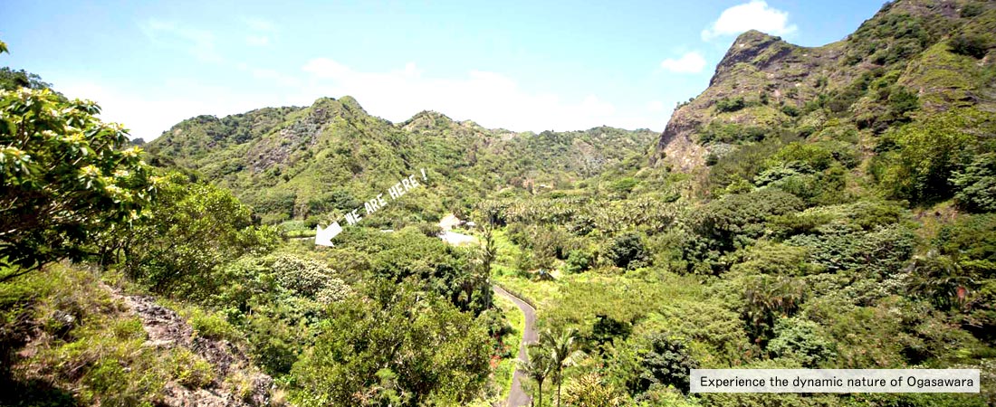 Experience the dynamic nature of Ogasawara, the World Heritage.