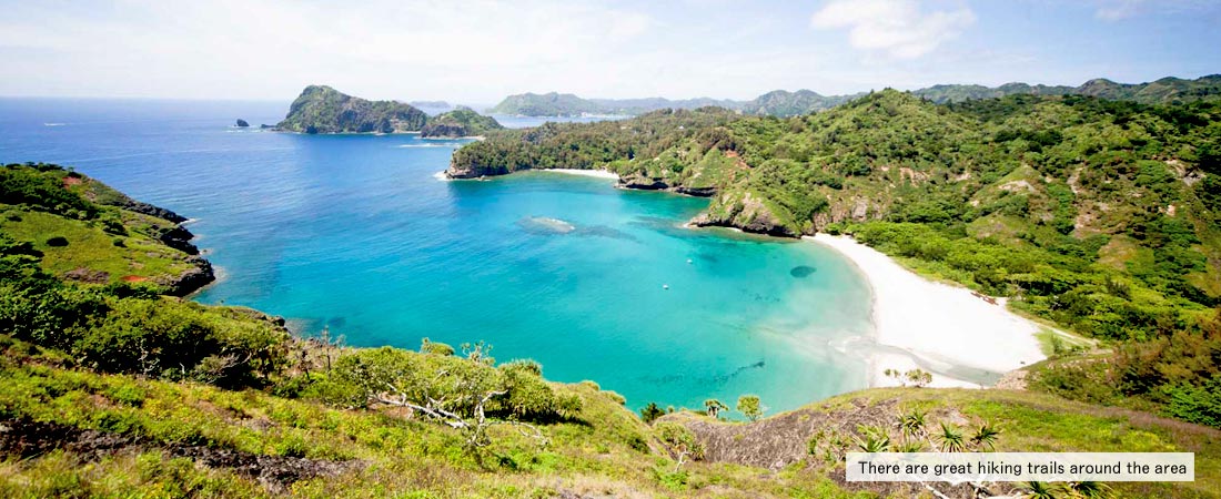 There are great hiking trails around Shanti Bungalows. Enjoy the great nature of the World Heritage of Ogasawara.